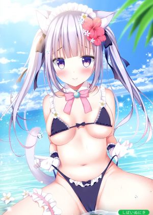 しばいぬ_にき,兽耳,水着,cleavage,猫耳,泳装