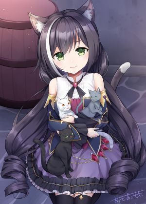 omoomomo,kyaru,超異域公主連結,兽耳,猫,猫耳,黑丝