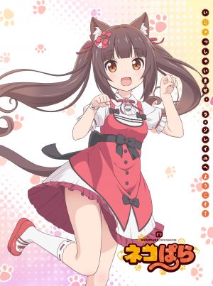 巧克力,NekoWorks,ネコぱら,兽耳,猫耳
