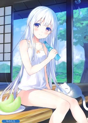 nanotaro,猫,胖次